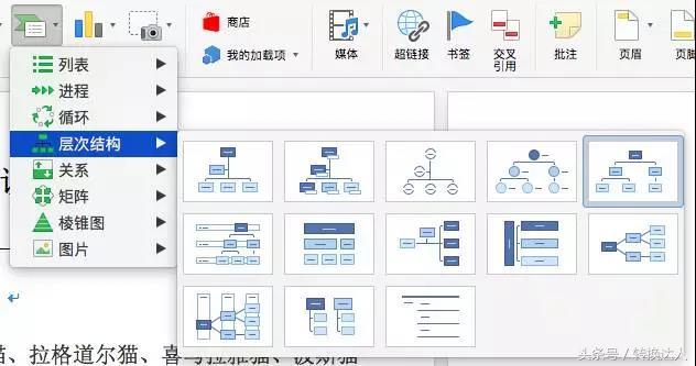 word中没有新罗马字体