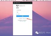 Adobe系列 adobe cloud能卸载吗