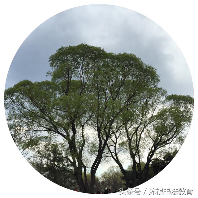 手机剪圆图软件 手机图片剪切合成软件
