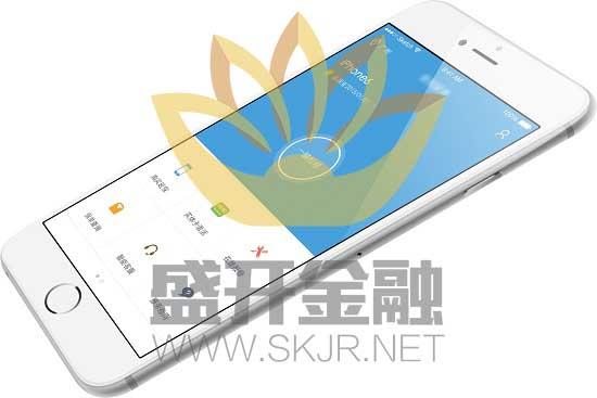 软件的开发费用比例 软件运维费用比例