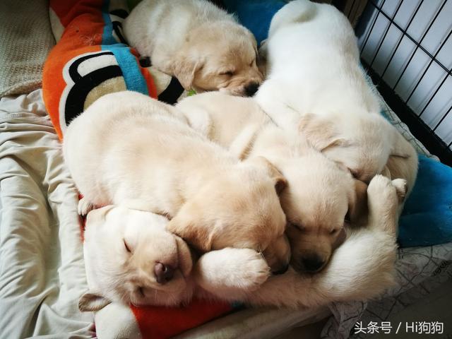 资料存档软件 3ds存档导出软件