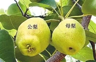软件的可变性 软件的可变性是指什么