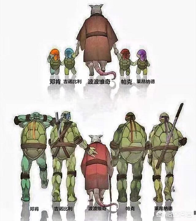 苹果的健康软件怎么计算步伐 苹果原装软件计算器