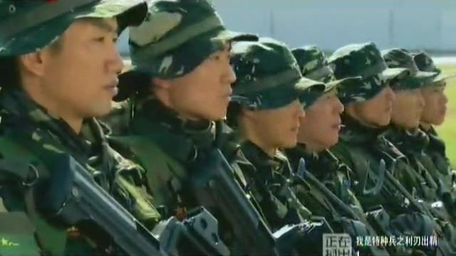 孤狼软件有限公司 孤狼影城