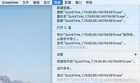 dvd软件芯片怎么启动的 兽印芯片中国已经启动