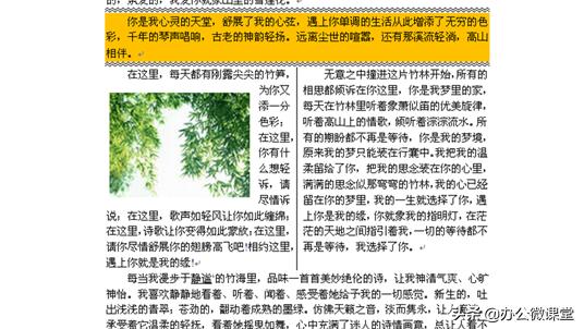 word中怎么分页面显示