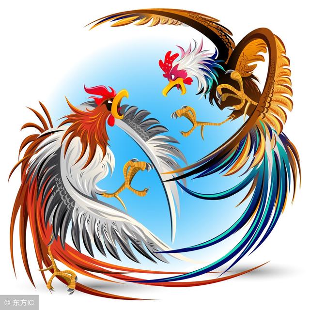 养鸡场管理软件 现代化养鸡场管理
