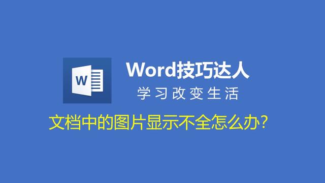 word中看不见