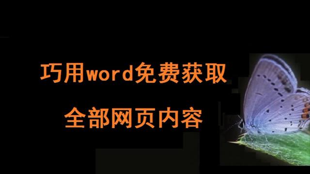 word里的文字无法复制