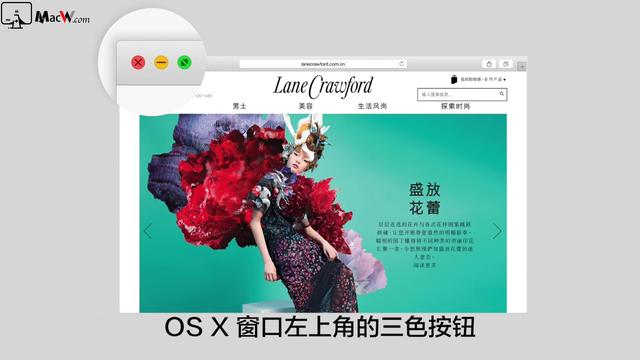 wordmac里怎么改颜色快捷键