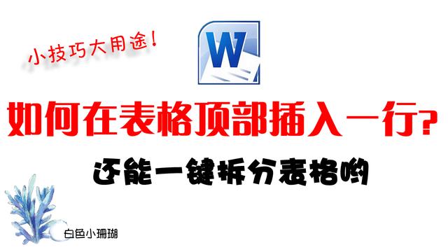 word表格上加一行文字