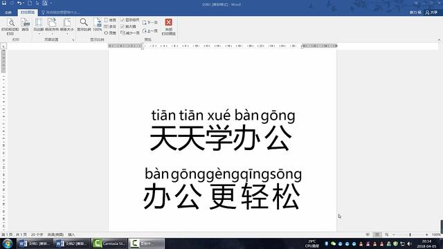 word什么汉字