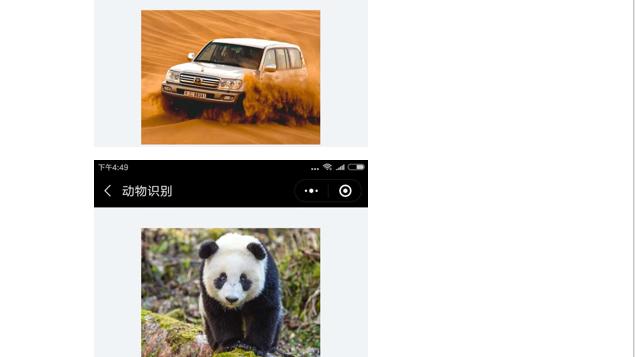 word中文字空白