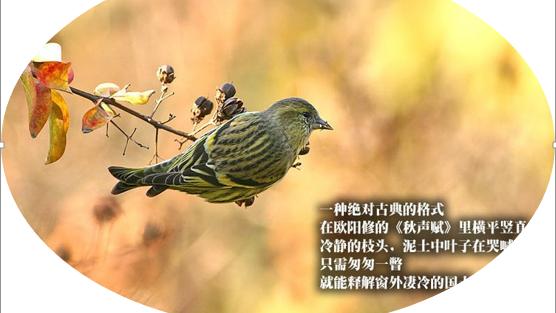 word艺术效果