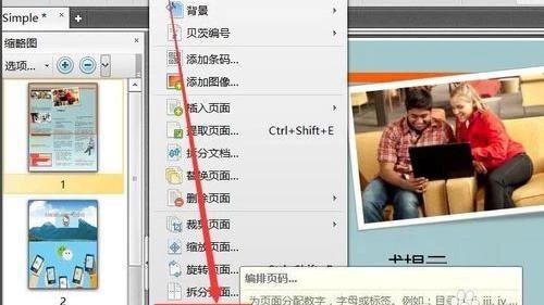 word页码两种格式