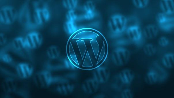 wordpress主题访问慢