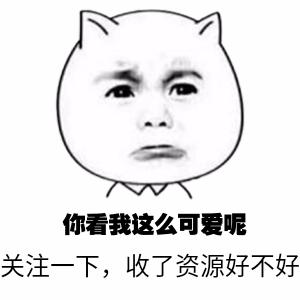 标准化计算机考试软件 计算机软件水平考试