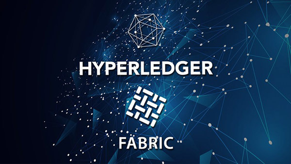 Hyperledger Fabric介绍
