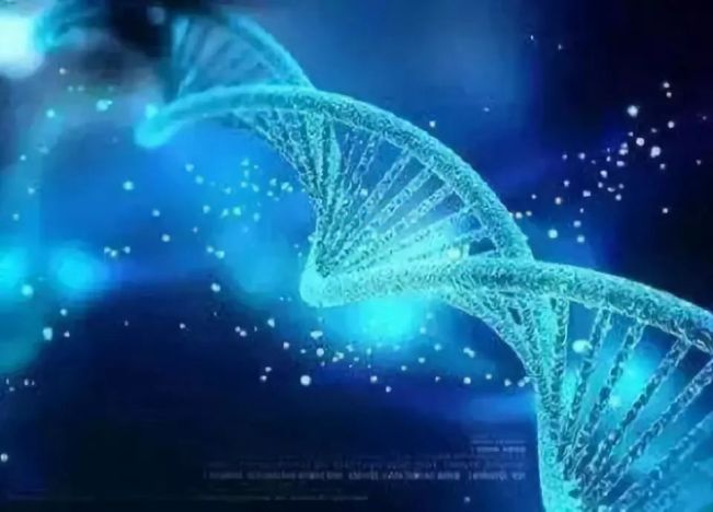 大数据在医疗保健领域应用的10个令人关注的例子