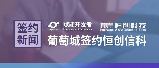 Wyn Enterprise赋能恒创信科，打造电子政务网络管理中心
