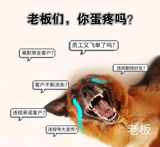员工飞单离职带走客户，老板你们难受吗？