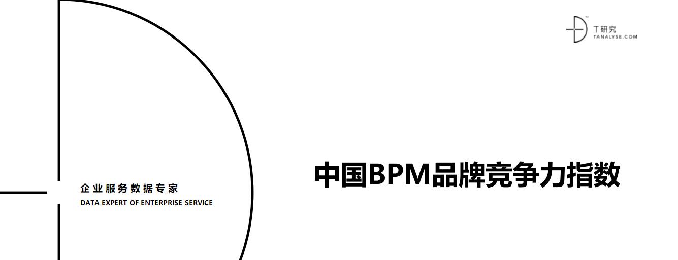 《中国BPM品牌竞争力指数》完整版