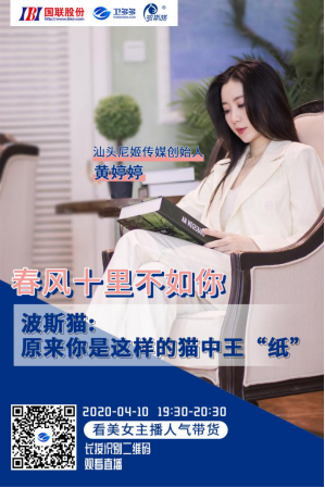 春风十里不如你：波斯猫，原来你是这样的猫中王“纸”