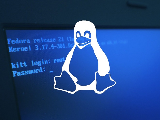 常用的 Linux 目录处理命令总结