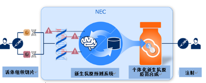 NEC正式开展基于AI的新药研发