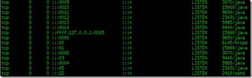 Linux查看程序端口占用情况