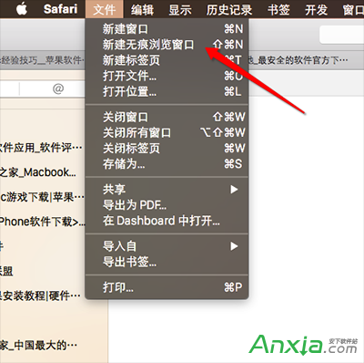 Safari浏览器怎么开启无痕浏览