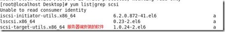 linux下scsi共享磁盘的简单搭建