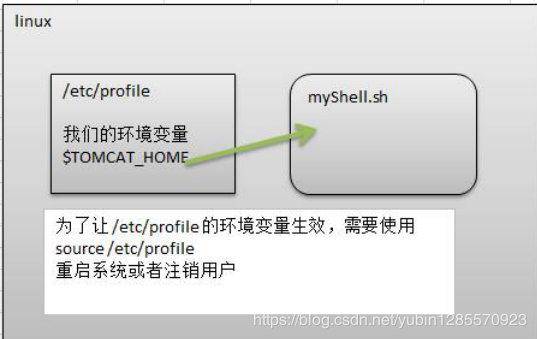 Linux : 环境变量、预定义变量、位置参数变量、运算符