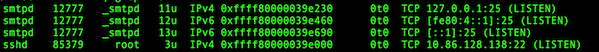 如何在 Linux/Unix 系统中验证端口是否打开