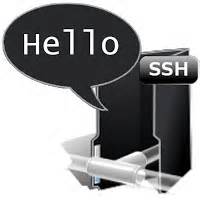 解决 Linux 下 SSH 远程连接服务卡慢的全过程
