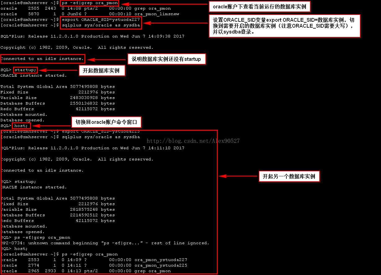 Linux下开启多个数据库实例的步骤