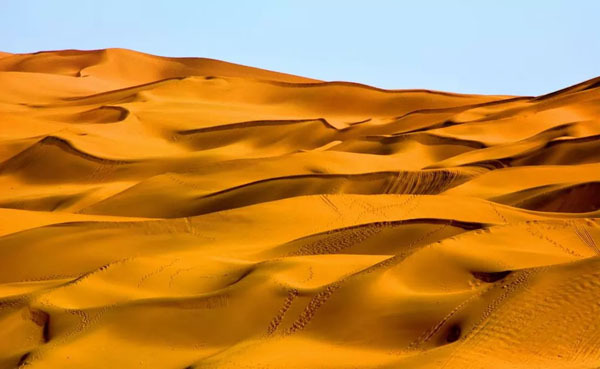 容器云存储的需求考量与方案选择