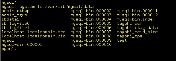 linux mysql客户端中执行系统命令