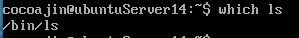 linux 文件查找，which,whereis,locate,find