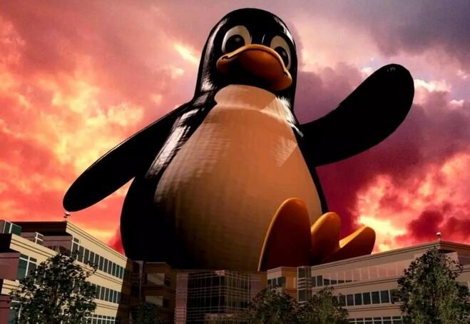 中国公有云幸存者特质分析