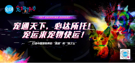 靠谱的宠物托运公司