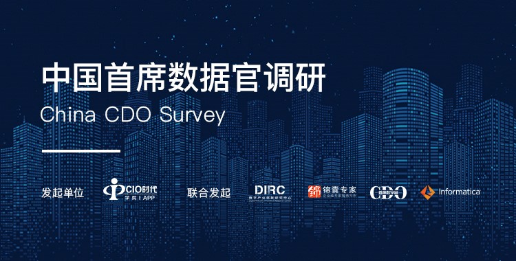 中国首席数据官调研