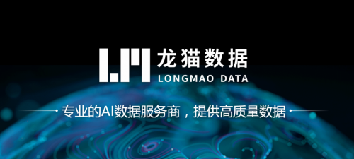 重磅更新!龙猫数据官网全新改版,打造AI数据闭环服务体系