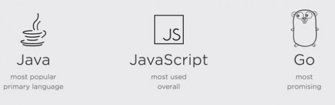 2017年开发者生态报告：Java最火，Go最有前途