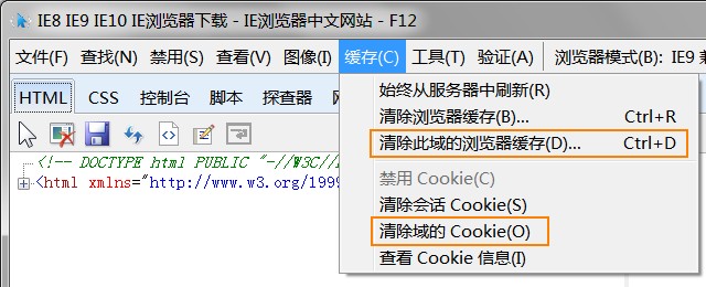 删除IE中单个网站域的缓存和Cookie