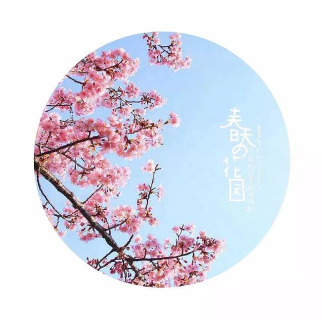 给图片加圆圈的软件 怎么给图片加圆圈