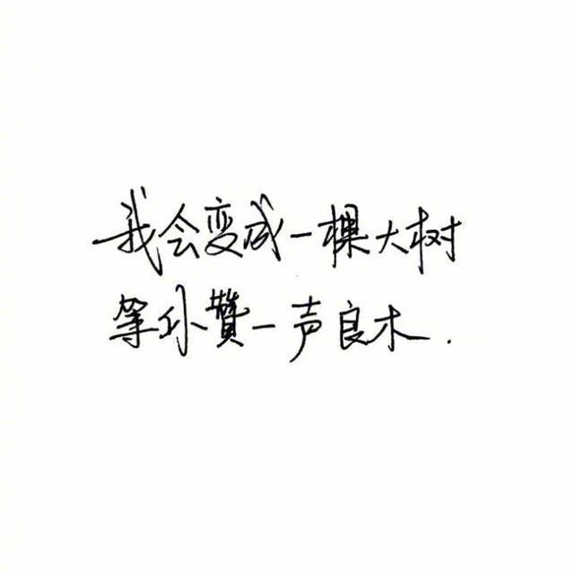 白底黑字生成软件 白底黑字图片制作软件