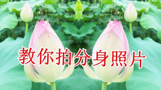 修剪相片的软件 把相片变成漫画的软件