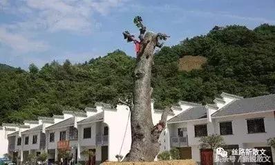 什么是空壳软件 空壳公司是什么意思