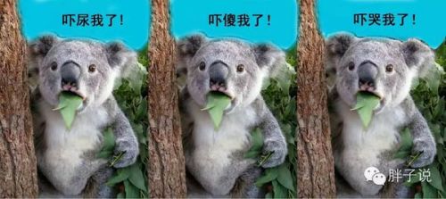 人工智能威胁论